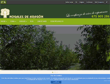 Tablet Screenshot of nogalesdearagon.com